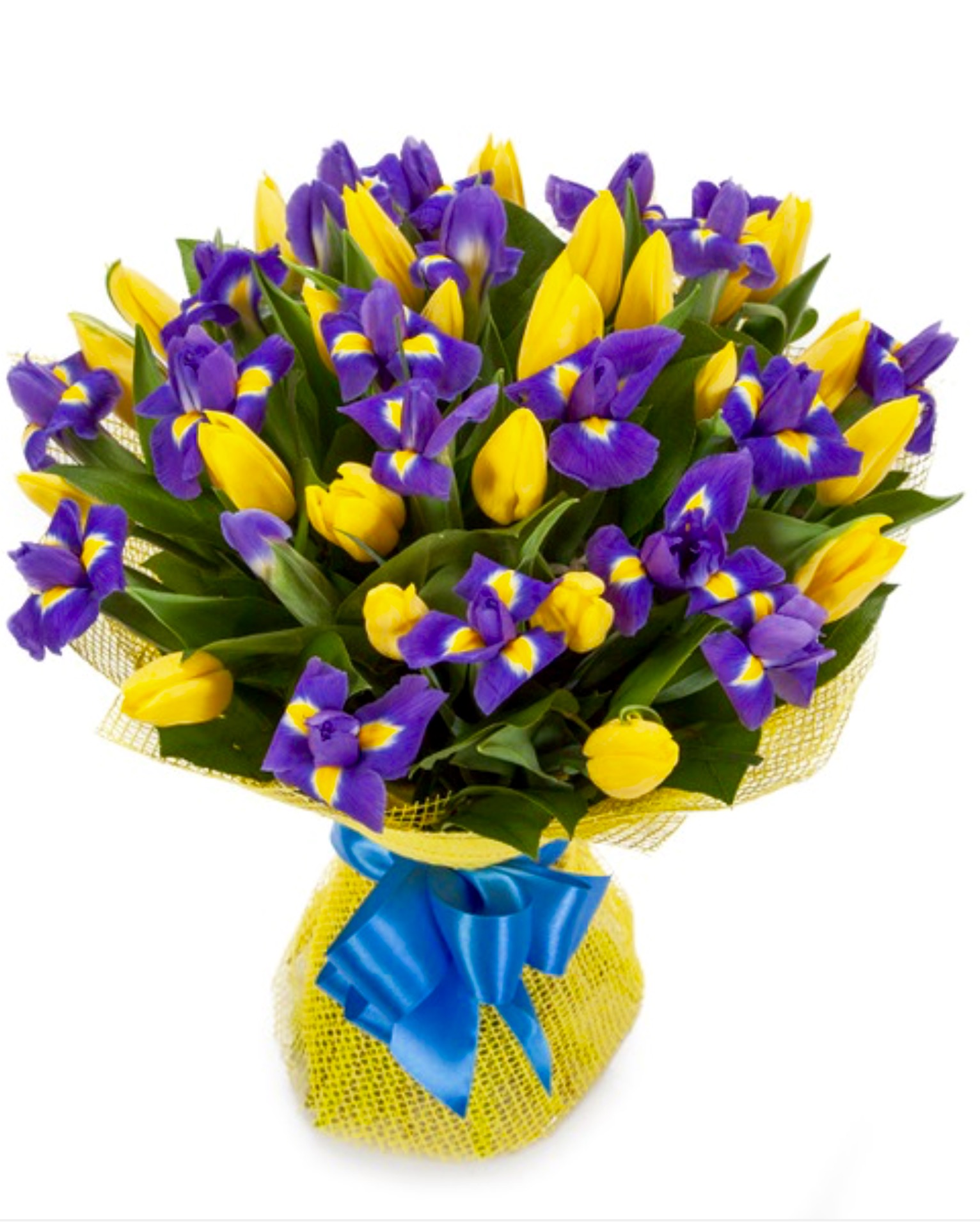 cvety-irisy
